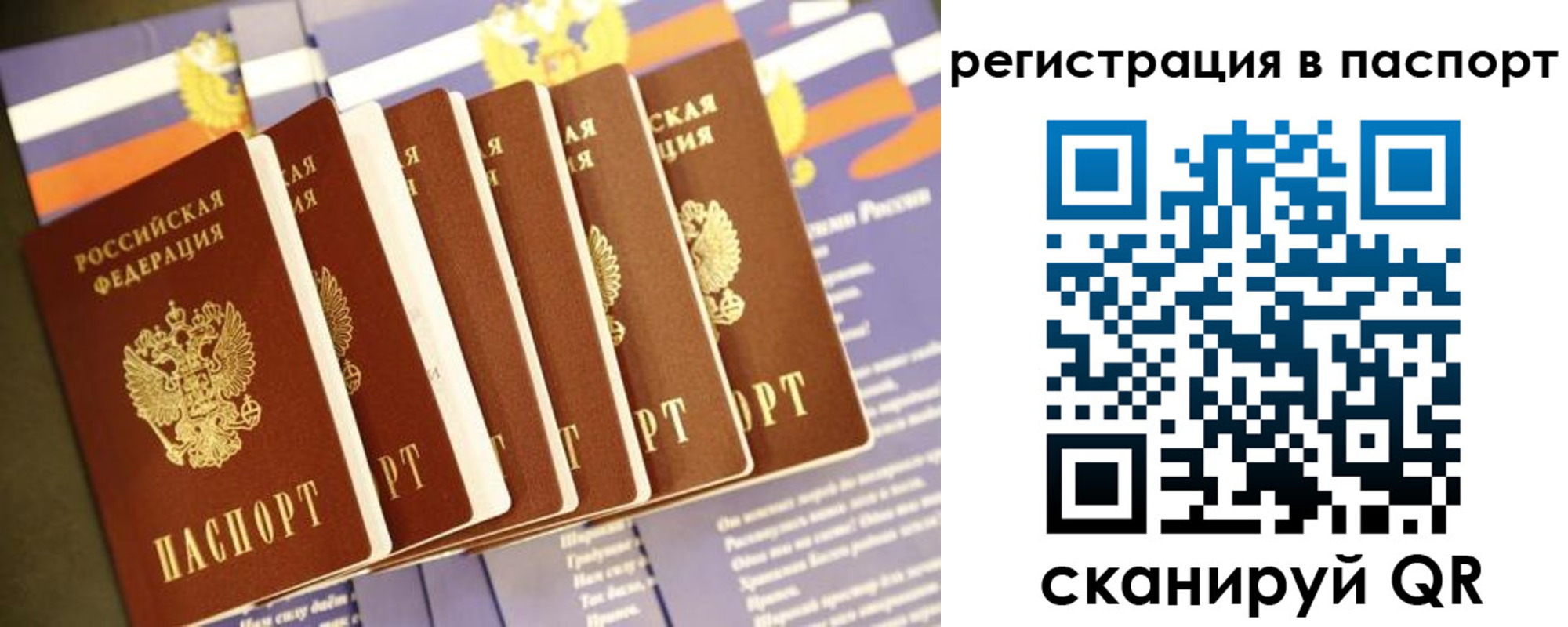 прописка ребенка в Ростове